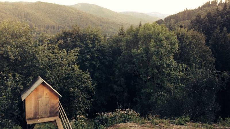 Vàng Tăng Trưởng Bền Vững - Chiến Lược Đầu Tư Thông Minh Năm 2026